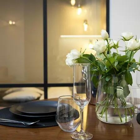 Vienna Studio Cracow Apartamento *