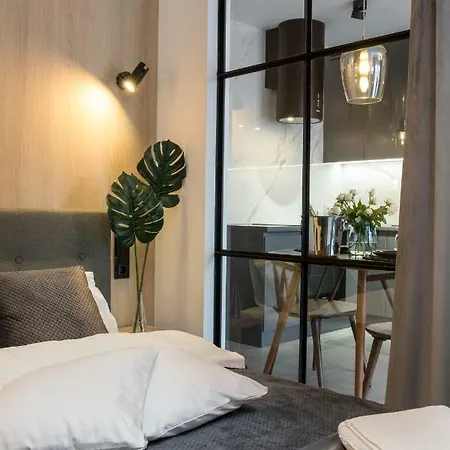 Vienna Studio Cracow 公寓 克拉科夫